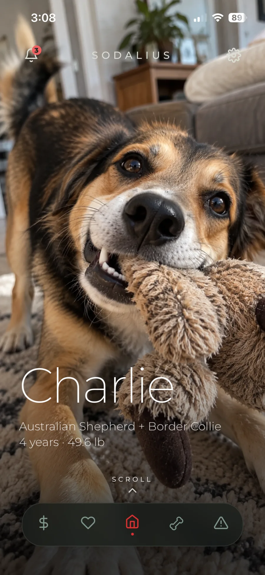 Sodalius home screen: Charlie's profile with the bottom navigation bar